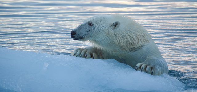 The Red House - Eastgreenland - Bregar Film