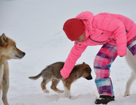 The Red House - Eastgreenland - Politik - Wirtschaft