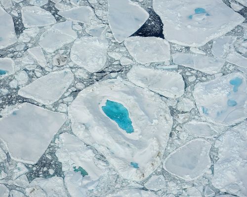 The Red House - Eastgreenland - Geografie - Klima