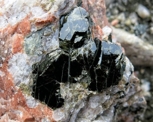 The Red House - Eastgreenland - Politik - Wirtschaft