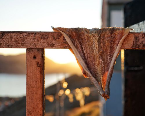 The Red House - Eastgreenland - Ostgroenland - getrockneter Fisch