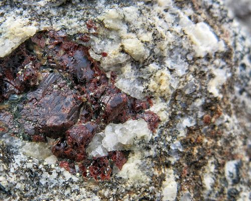 The Red House - Eastgreenland - Politik - Wirtschaft