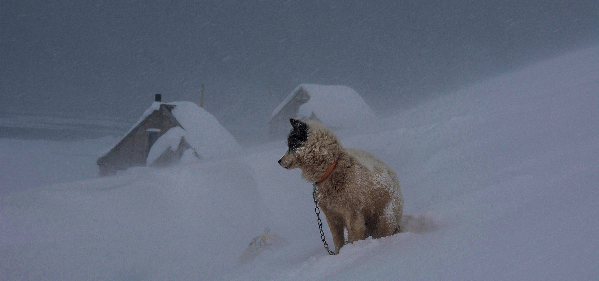 The Red House - Eastgreenland - Geografie - Klima