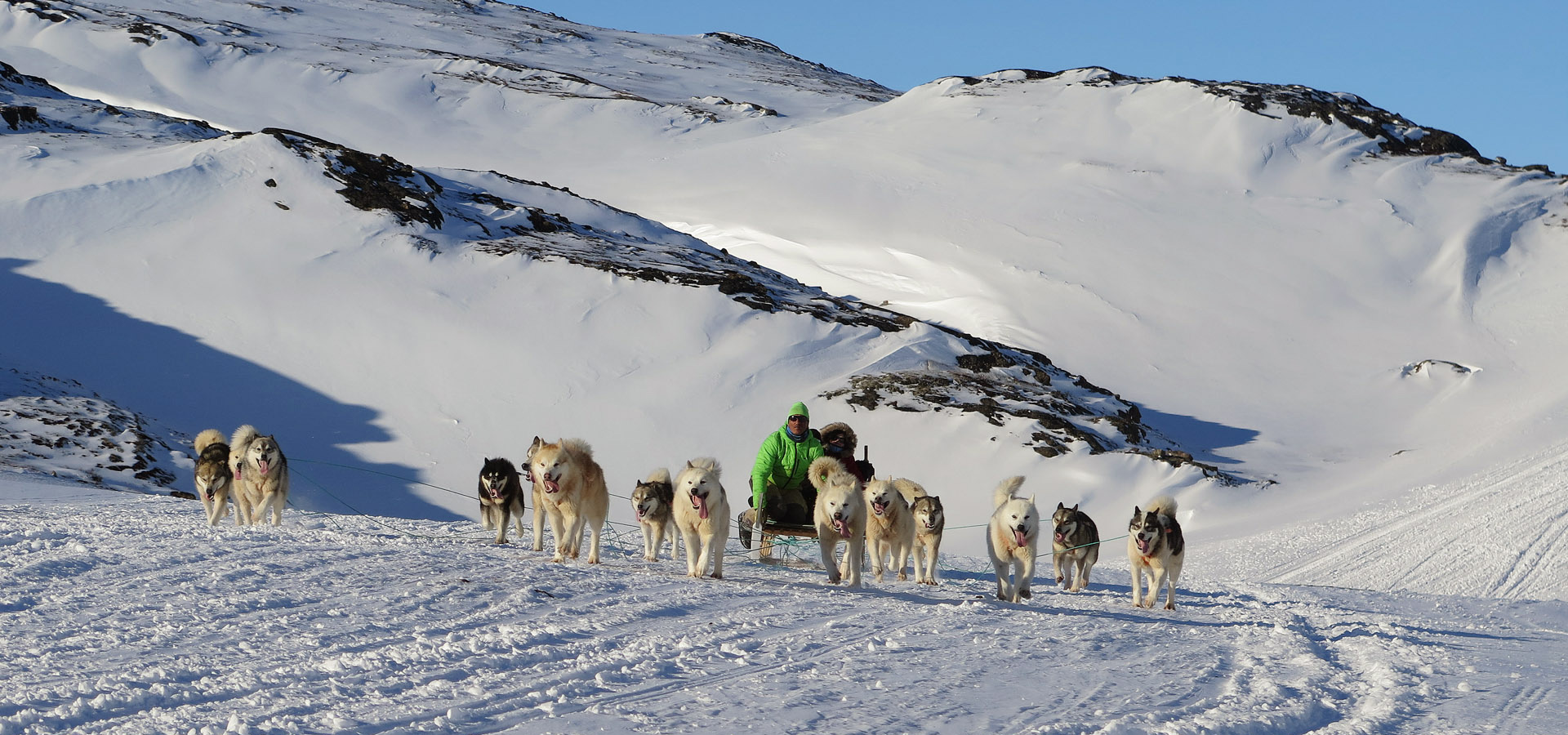 The Red House - Eastgreenland - Aktivitäten - Hundeschlitten
