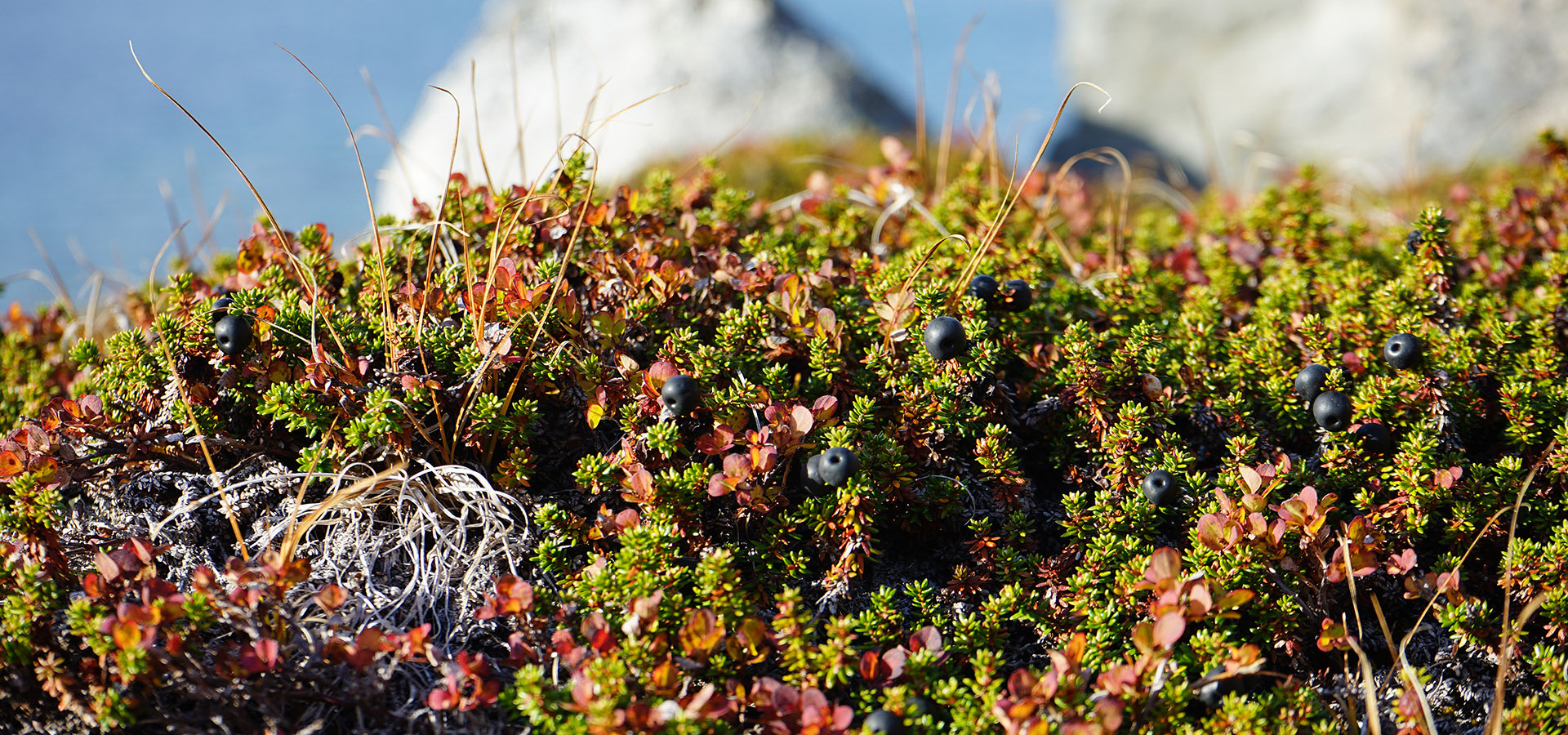 The Red House - Eastgreenland - Geografie - Klima - Herbst