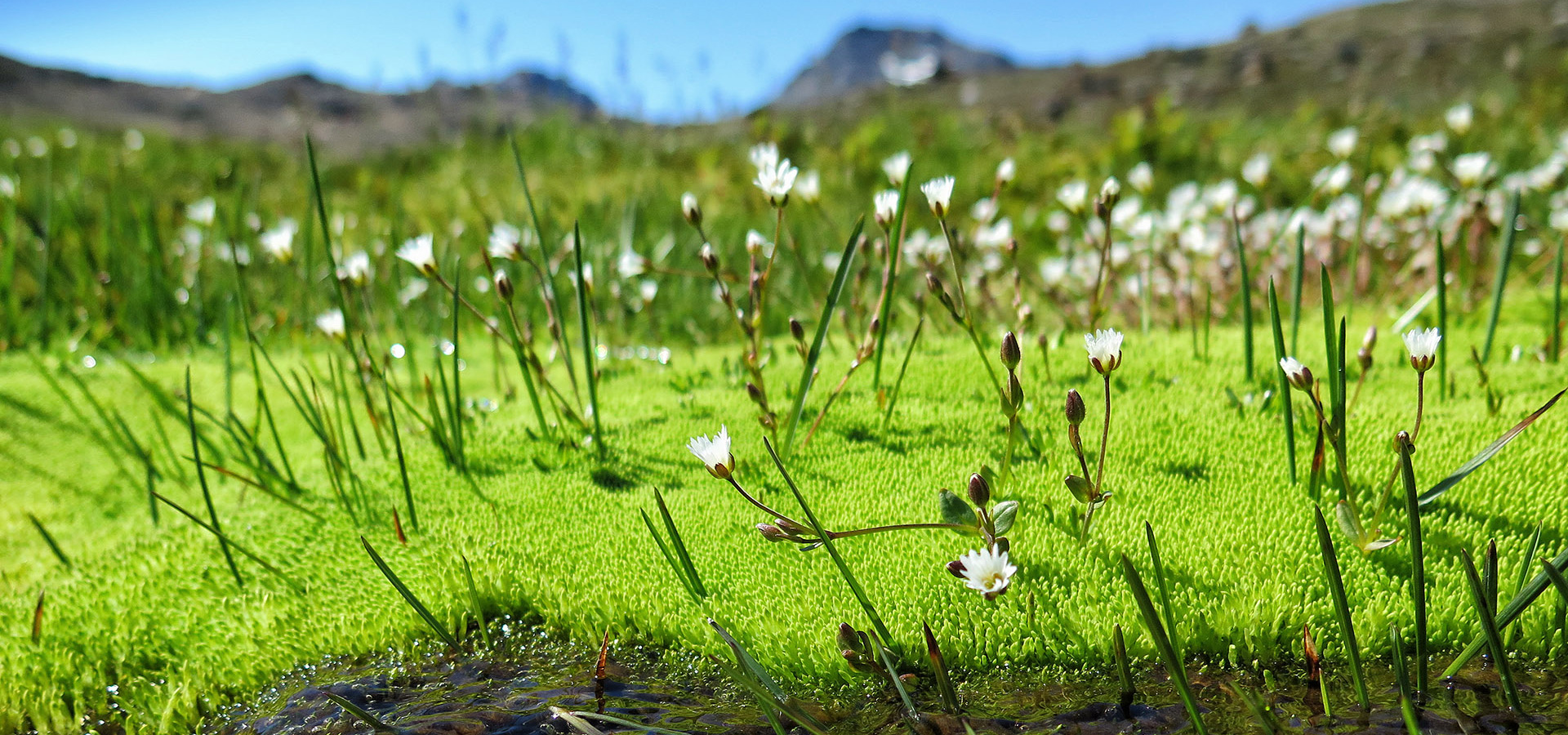 The Red House - Eastgreenland - Geografie - Klima - Sommer