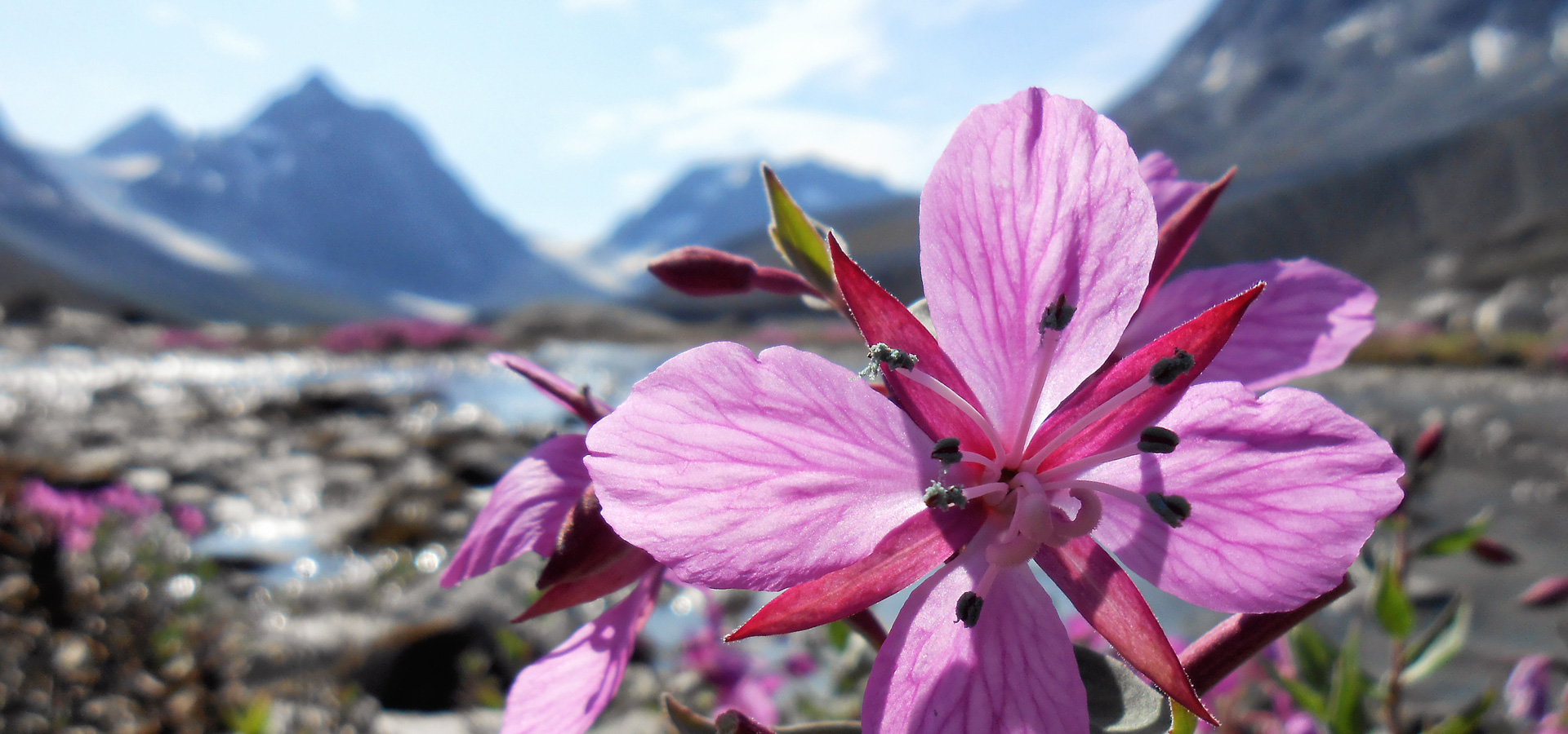 The Red House - Eastgreenland - Geografie - Klima - Sommer